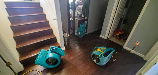 Best Water damage restoration near me  in Kissee Mills, MO