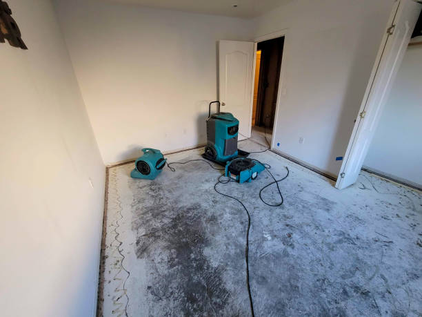 Best Emergency water damage restoration  in Kissee Mills, MO