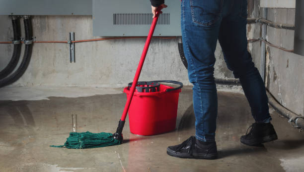 Best Water damage contractors near me  in Kissee Mills, MO