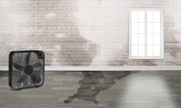 Best Emergency water damage restoration  in Kissee Mills, MO