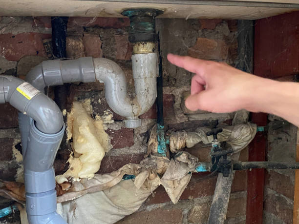 Best Water damage repair service  in Kissee Mills, MO