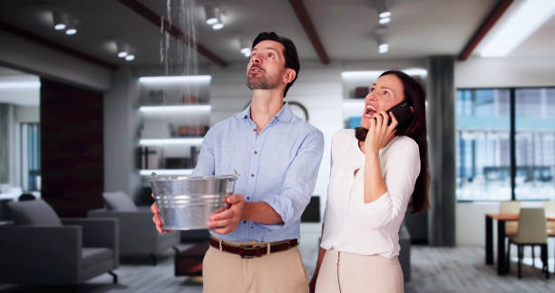 Best Water damage cleanup near me  in Kissee Mills, MO