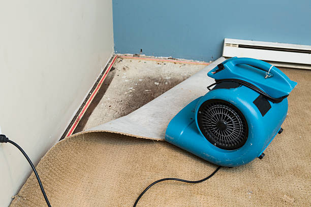 Best 24/7 water damage repair  in Kissee Mills, MO